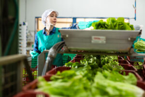Wireless Sensors for Food Manufacturing