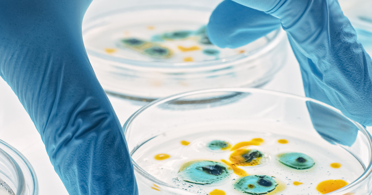 How Wireless Sensors Help Research Labs with Daily Verifications