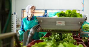 Why Food Processors are Turning to Wireless Sensors