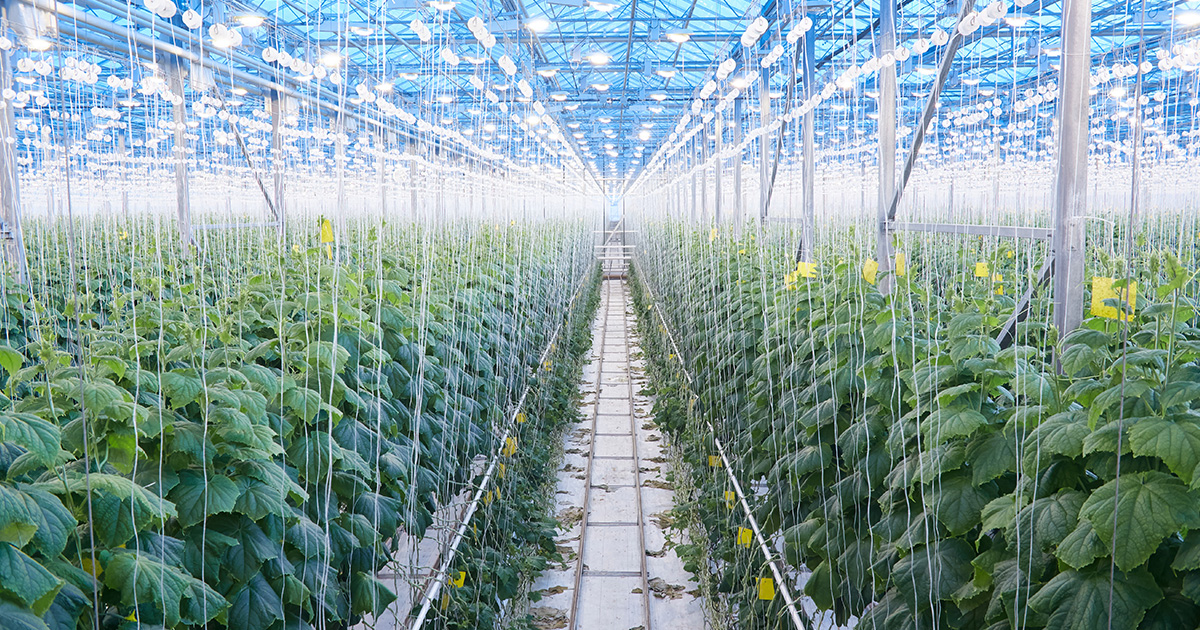 Agriculture Application Environment