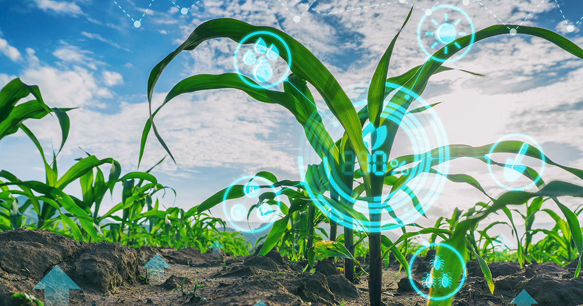 Agriculture Application Soil Moisture