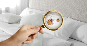 Temperature Monitoring for Pest Control Heat Treatment Application