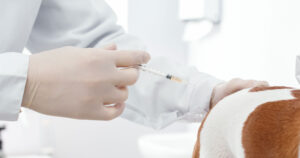 Application Veterinary Hospitals and Clinics