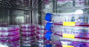 Incubator - Wireless Temperature Sensors