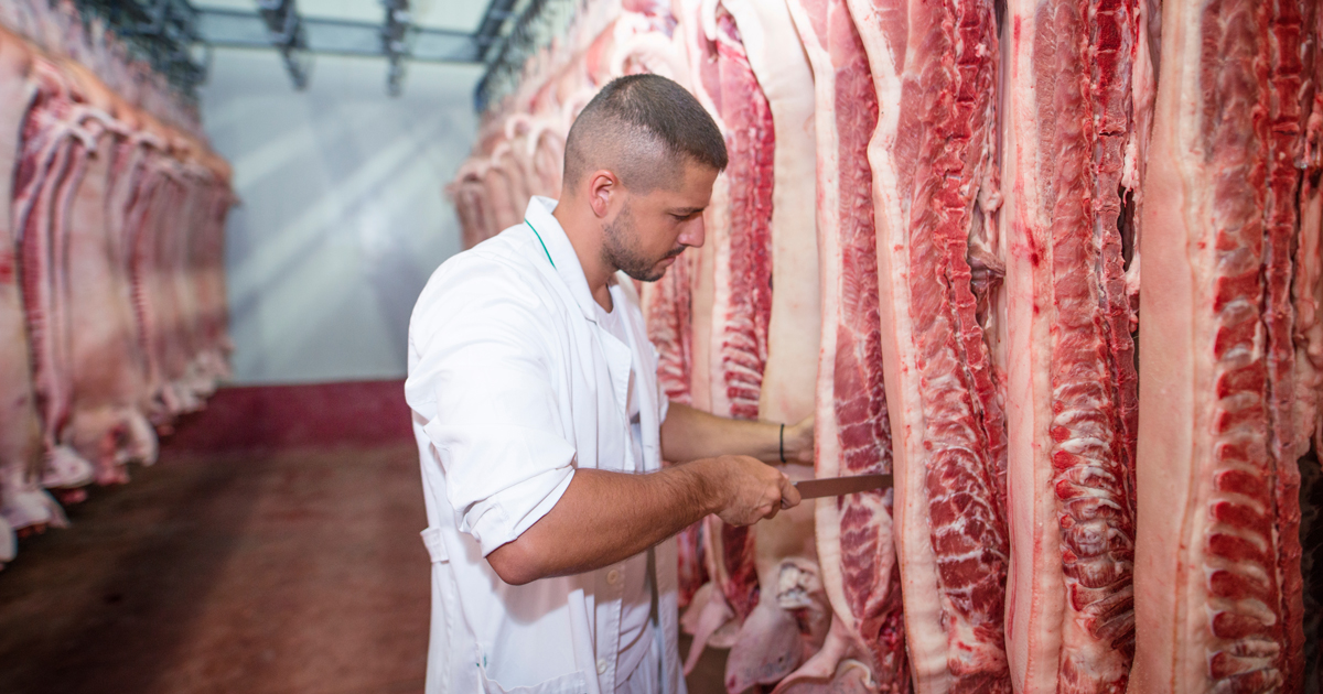 Application Agriculture Cold Room
