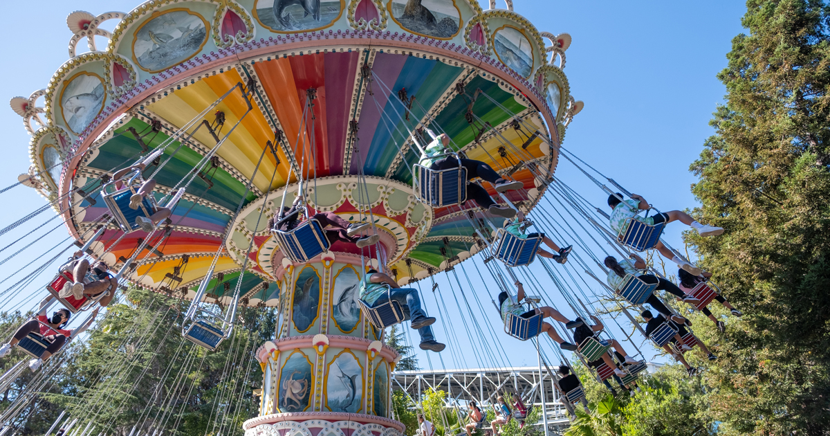 Application Amusement Parks Attractions