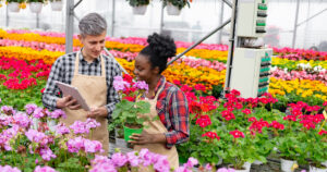 Application Florists