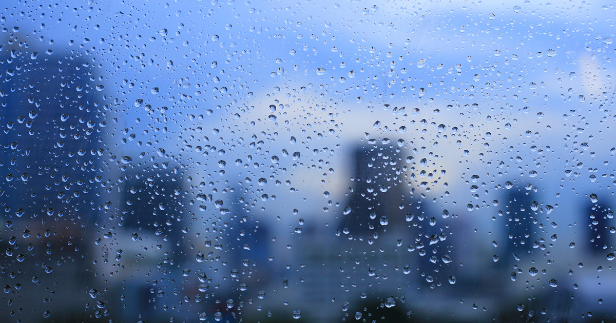 Environmental Monitoring with Wireless Sensors