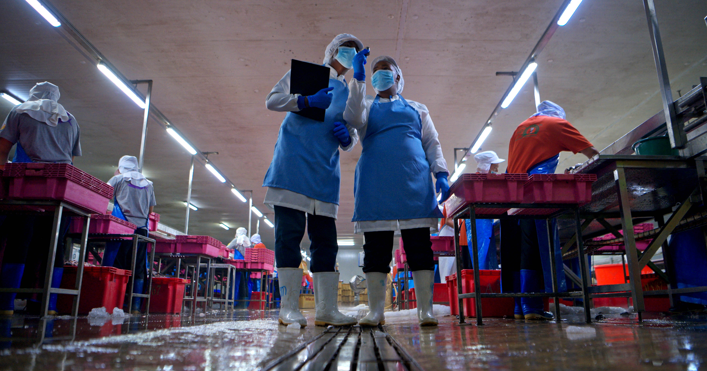 HAACP & FDA Compliance